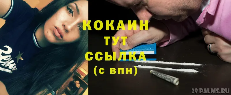 COCAIN Боливия  Котельники 